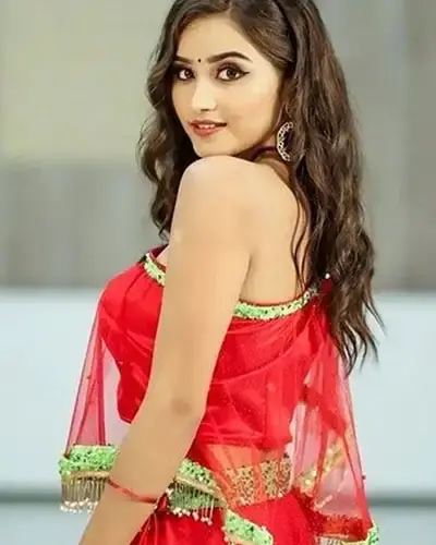 Escort In Bahadurgarh